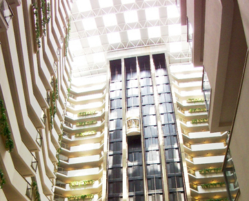 Overview